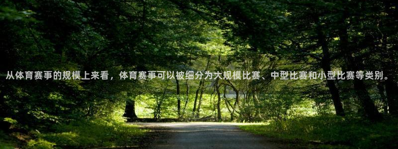 从体育赛事的规模上来看，体育赛事可以被细分为大规模比赛、中型比赛和小型比赛等类别。