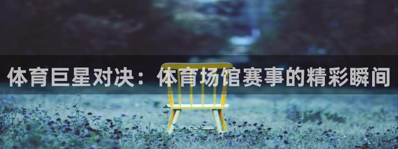 体育巨星对决：体育场馆赛事的精彩瞬间