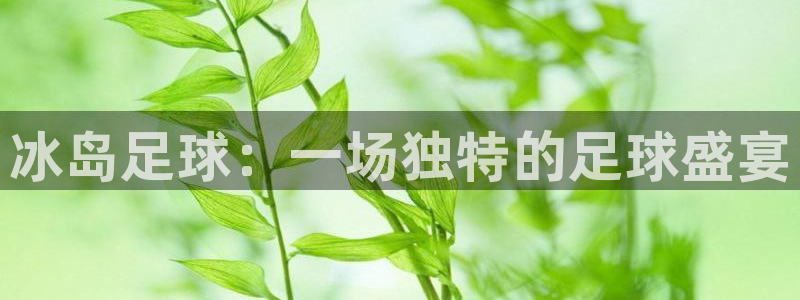冰岛足球：一场独特的足球盛宴