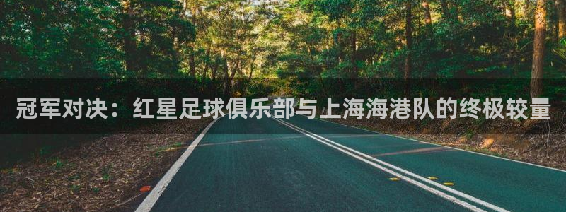 冠军对决：红星足球俱乐部与上海海港队的终极较量