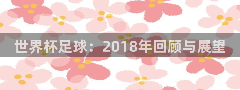 世界杯足球：2018年回顾与展望