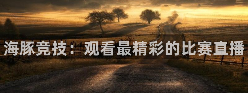 海豚竞技：观看最精彩的比赛直播