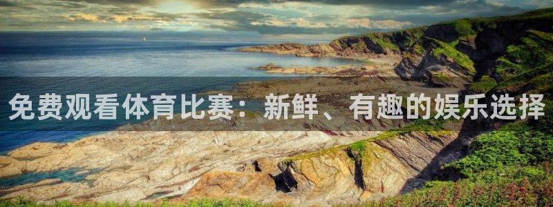 免费观看体育比赛：新鲜、有趣的娱乐选择