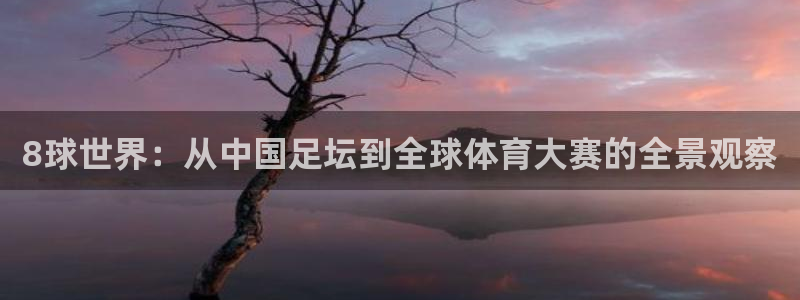 8球世界：从中国足坛到全球体育大赛的全景观察