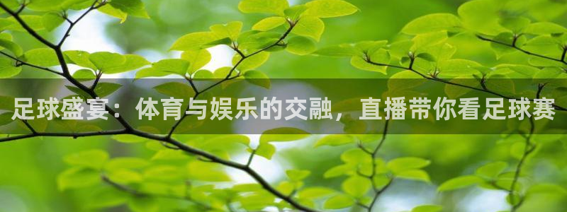 足球盛宴：体育与娱乐的交融，直播带你看足球赛