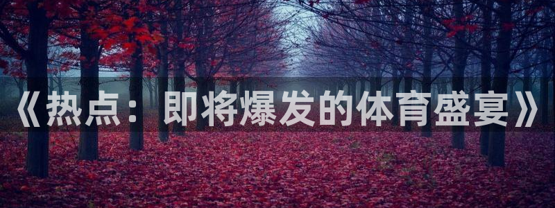 《热点：即将爆发的体育盛宴》