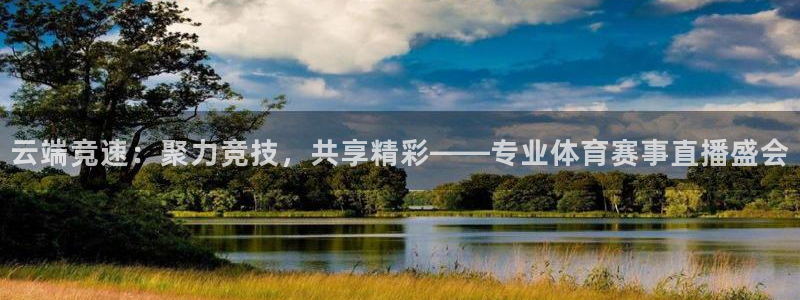 云端竞速：聚力竞技，共享精彩——专业体育赛事直播盛会