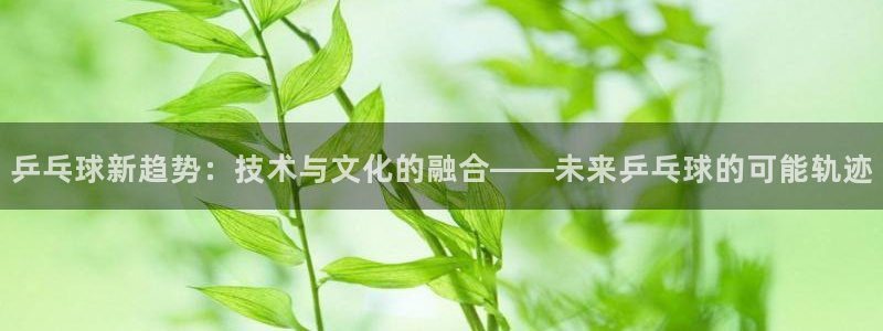 乒乓球新趋势：技术与文化的融合——未来乒乓球的可能轨迹