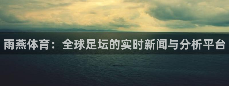 雨燕体育：全球足坛的实时新闻与分析平台
