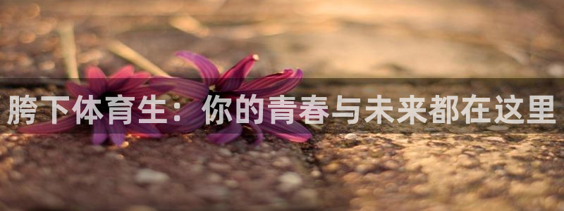 胯下体育生：你的青春与未来都在这里