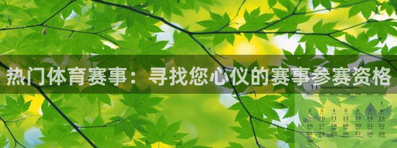 热门体育赛事：寻找您心仪的赛事参赛资格