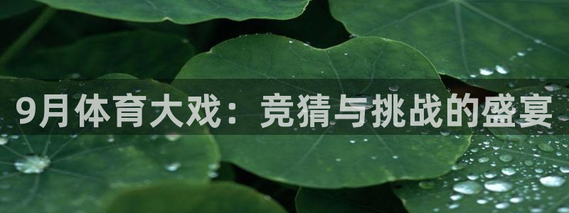9月体育大戏：竞猜与挑战的盛宴