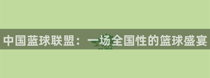 中国蓝球联盟：一场全国性的篮球盛宴
