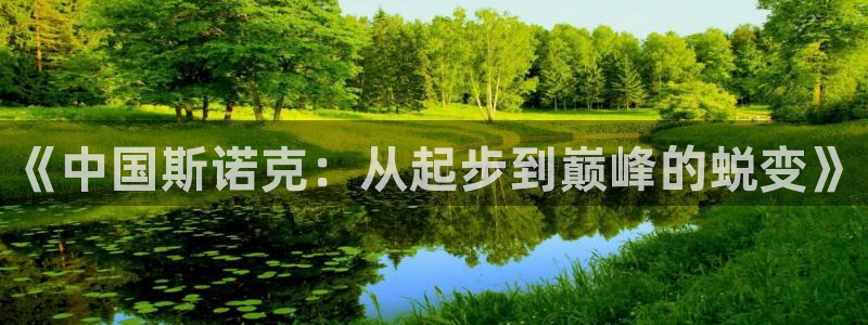 《中国斯诺克：从起步到巅峰的蜕变》