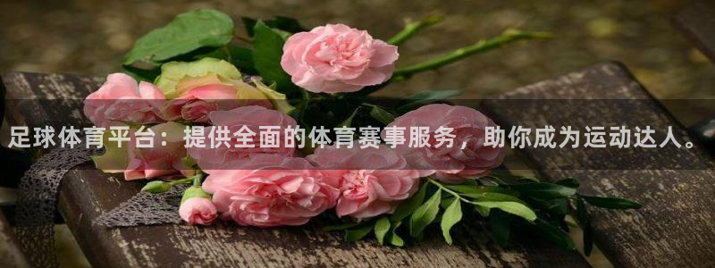 足球体育平台：提供全面的体育赛事服务，助你成为运动达人。