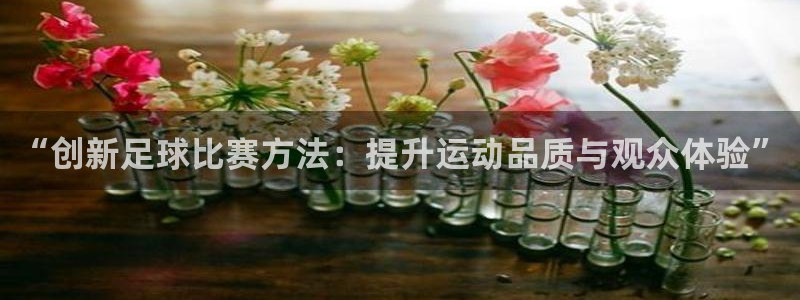 “创新足球比赛方法：提升运动品质与观众体验”