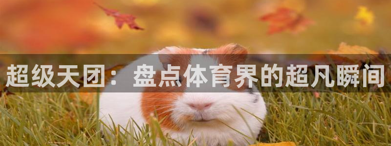 超级天团：盘点体育界的超凡瞬间