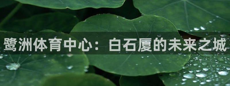 鹭洲体育中心：白石厦的未来之城