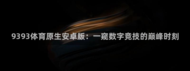 9393体育原生安卓版：一窥数字竞技的巅峰时刻