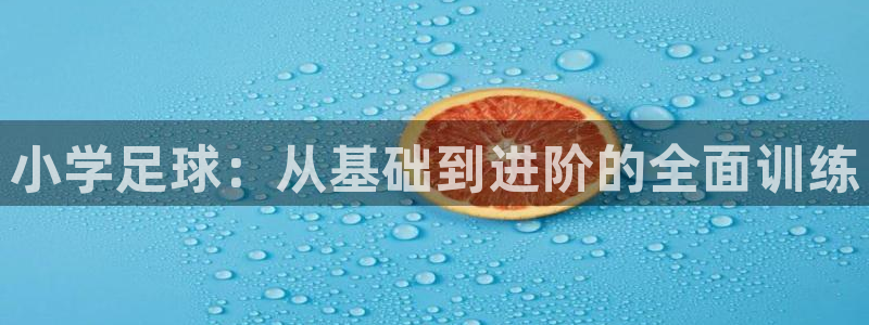 小学足球：从基础到进阶的全面训练