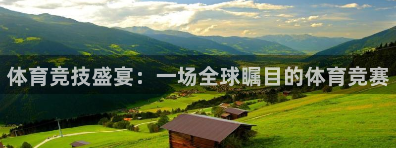体育竞技盛宴：一场全球瞩目的体育竞赛