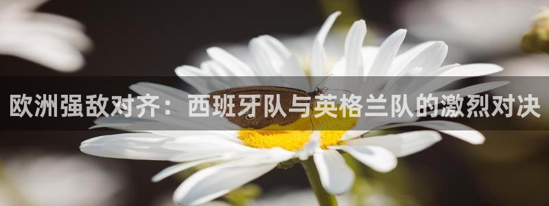 欧洲强敌对齐：西班牙队与英格兰队的激烈对决