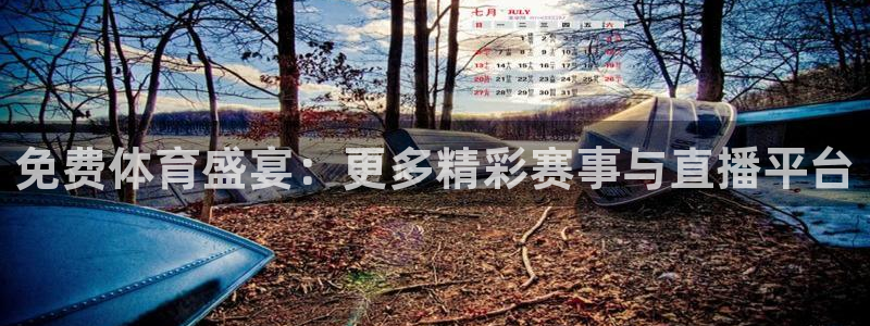 免费体育盛宴：更多精彩赛事与直播平台