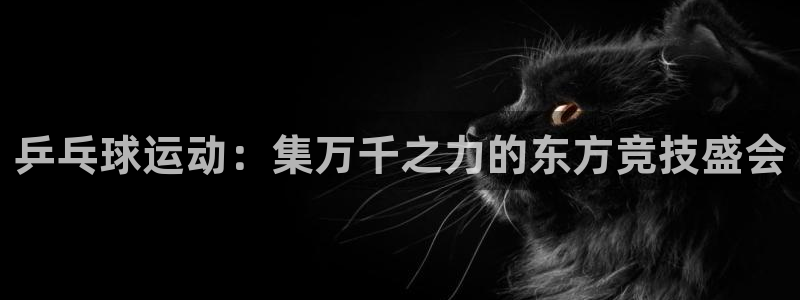乒乓球运动：集万千之力的东方竞技盛会