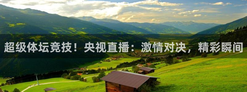 超级体坛竞技！央视直播：激情对决，精彩瞬间