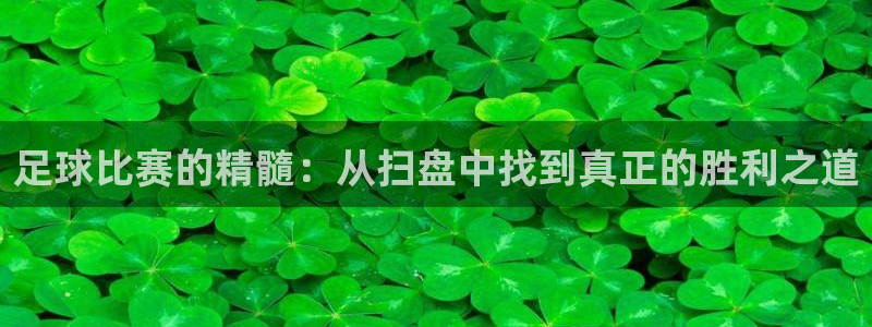 足球比赛的精髓：从扫盘中找到真正的胜利之道
