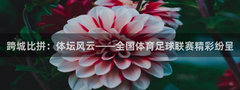 跨城比拼：体坛风云——全国体育足球联赛精彩纷呈