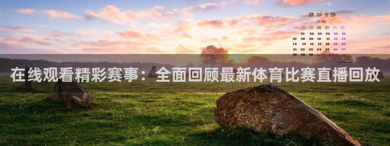 在线观看精彩赛事：全面回顾最新体育比赛直播回放