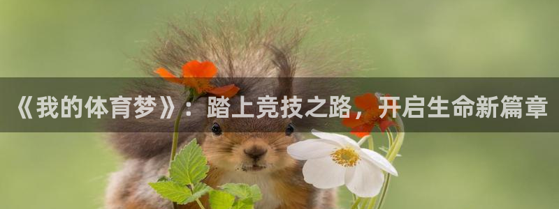 《我的体育梦》：踏上竞技之路，开启生命新篇章