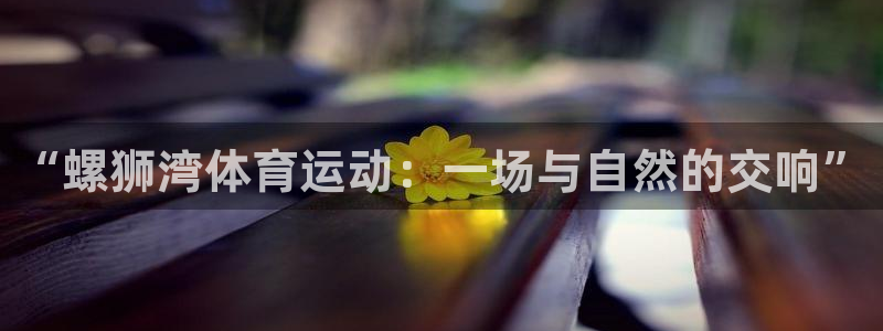 “螺狮湾体育运动：一场与自然的交响”