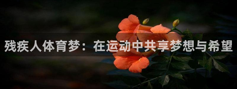 残疾人体育梦：在运动中共享梦想与希望
