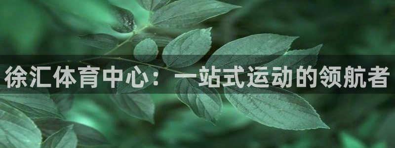 徐汇体育中心：一站式运动的领航者