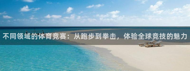 不同领域的体育竞赛：从跑步到拳击，体验全球竞技的魅力
