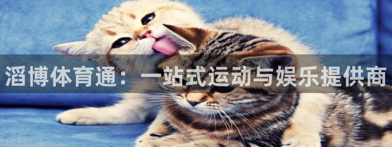 滔博体育通：一站式运动与娱乐提供商