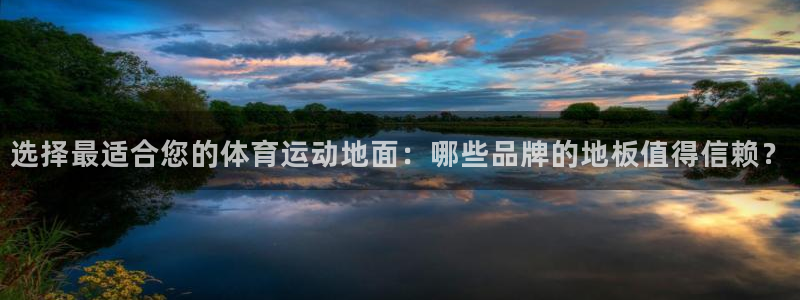 选择最适合您的体育运动地面：哪些品牌的地板值得信赖？