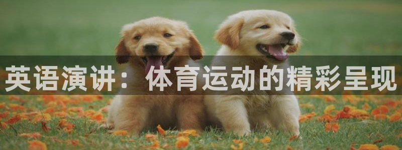 英语演讲：体育运动的精彩呈现