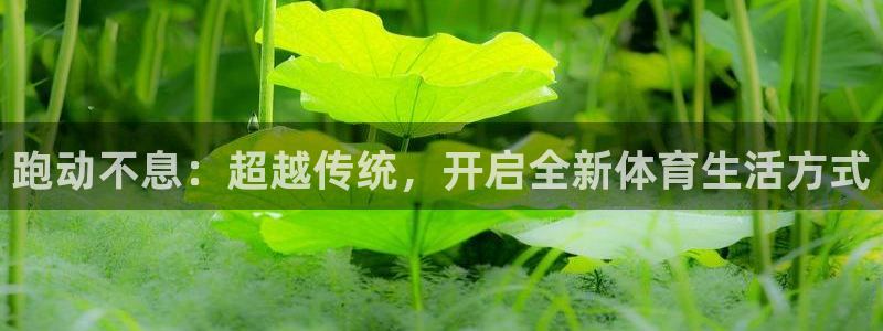 跑动不息：超越传统，开启全新体育生活方式