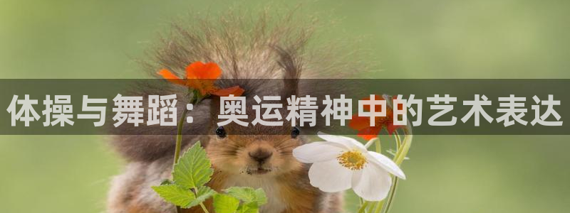 体操与舞蹈：奥运精神中的艺术表达