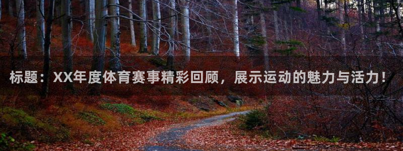 标题：XX年度体育赛事精彩回顾，展示运动的魅力与活力！