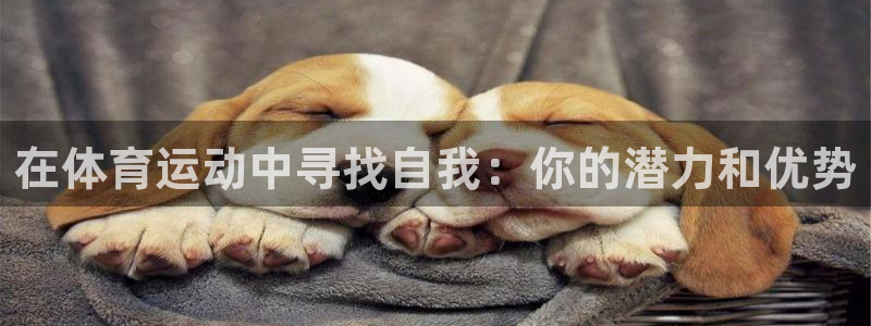 在体育运动中寻找自我：你的潜力和优势