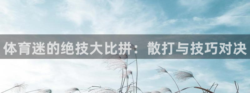 体育迷的绝技大比拼：散打与技巧对决