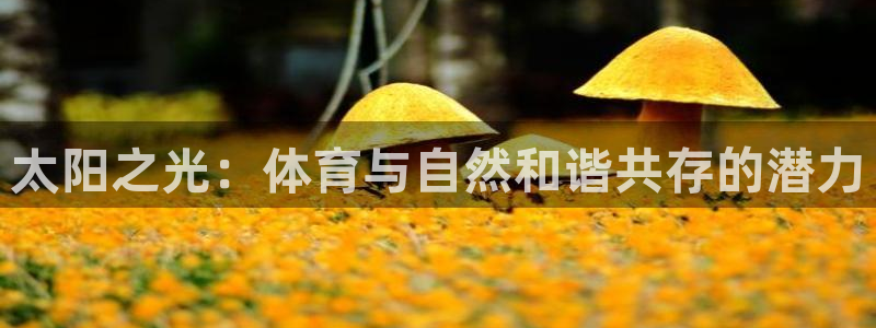 太阳之光：体育与自然和谐共存的潜力