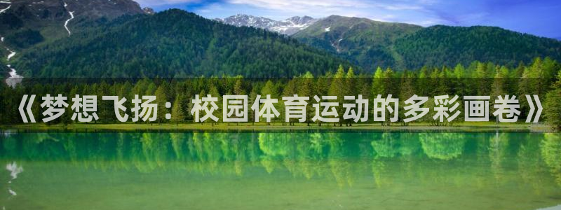 《梦想飞扬：校园体育运动的多彩画卷》