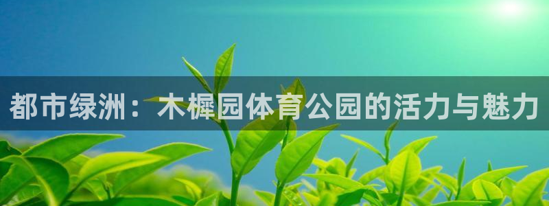 都市绿洲：木樨园体育公园的活力与魅力