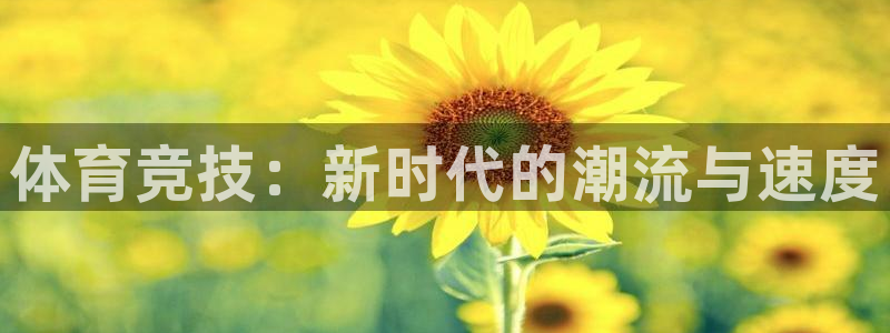 体育竞技：新时代的潮流与速度