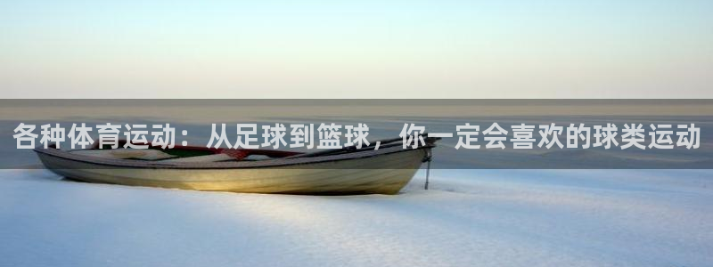 各种体育运动：从足球到篮球，你一定会喜欢的球类运动